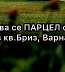 Парцел във Варна, Бриз