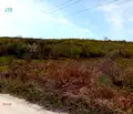 Снимка 5 — Парцел в Шумен, Дивдядово