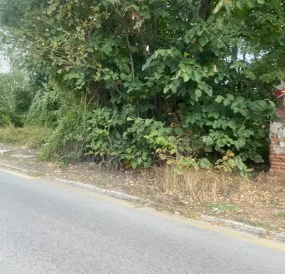 Photo 2 — Plot in Sofiya, Drujba 2