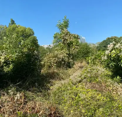 Photo 3 — Plot in Sofiya, Drujba 2