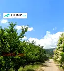 Парцел в София, Горубляне