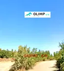 Парцел в София, Горубляне