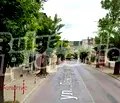 Снимка 5 — Парцел в Шумен, Гривица