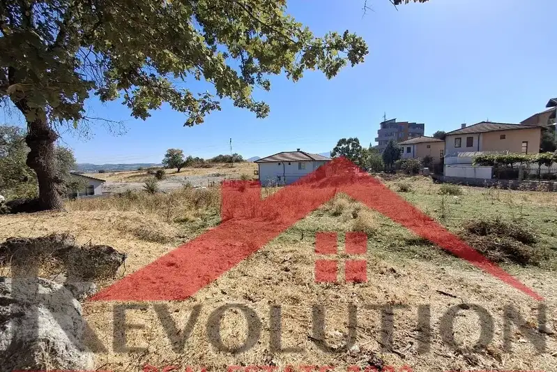 Plot in Kyrdjali, Rezbarci