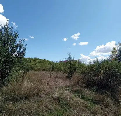 Photo 3 — Plot in Pernik, Teva