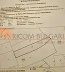 Парцел във Варна, Виница