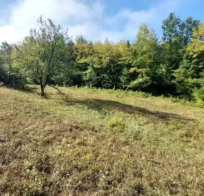 Photo 3 — Plot in Gabrovo, Zlatari
