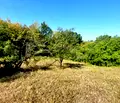 Снимка 5 — Парцел в Габрово, Златари