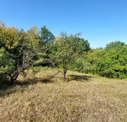 Photo 5 — Plot in Gabrovo, Zlatari