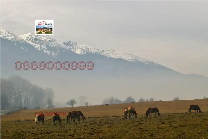 Plot in Oblast Blagoevgrad, Godlevo