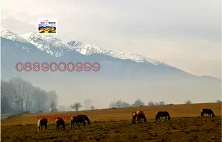 Парцел в Благоевград, с. Годлево