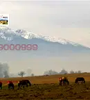 Парцел в Благоевград, с. Годлево