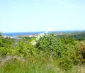 Снимка 5 — Парцел в Бургас, Царево