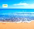 Снимка 4 — Парцел в Бургас, Царево