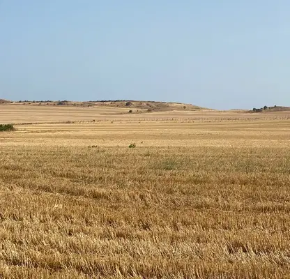 Photo 3 — Plot in Oblast Burgas, Kableshkovo