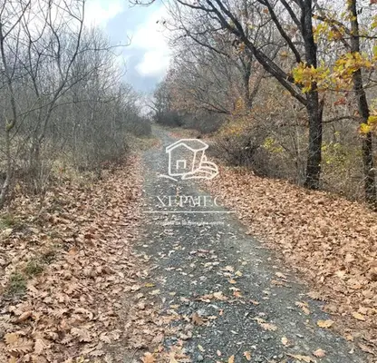 Снимка 3 — Парцел в Бургас, Приморско