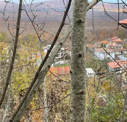 Photo 5 — Plot in Burgas, Primorsko