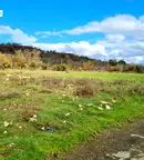 Парцел в Бургас, Приморско
