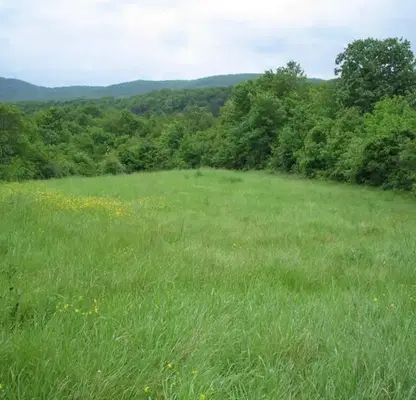 Photo 2 — Plot in Oblast Burgas, Izgrev