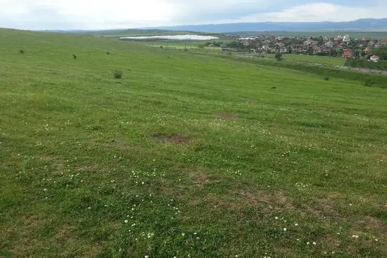 Plot in Oblast Burgas, Tynkovo
