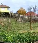 Парцел в Бургас, с. Тънково