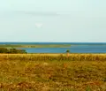 Снимка 2 — Парцел в Добрич, с. Дуранкулак