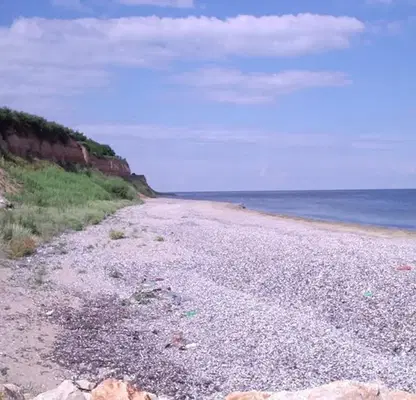 Снимка 4 — Парцел в Добрич, с. Крапец