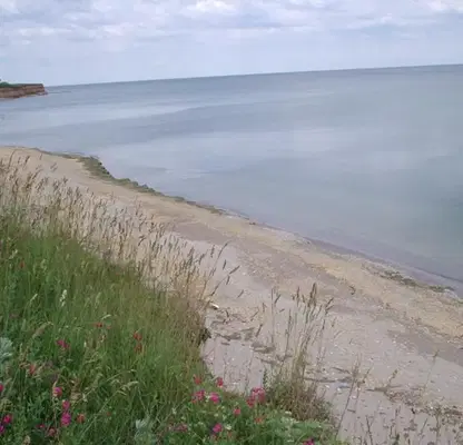 Снимка 5 — Парцел в Добрич, с. Крапец