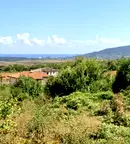 Парцел в Добрич, с. Рогачево