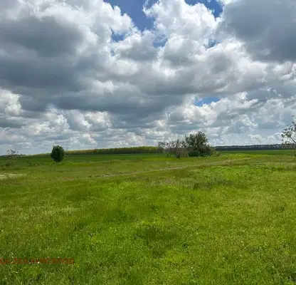 Photo 2 — Plot in Oblast Dobrich, Sokolovo