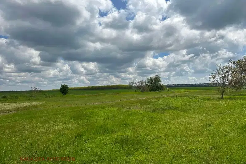 Plot in Oblast Dobrich, Sokolovo