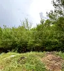 Парцел в Габрово, Трявна