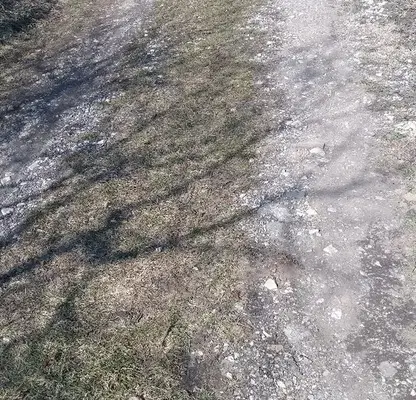 Снимка 5 — Парцел в Габрово, Трявна
