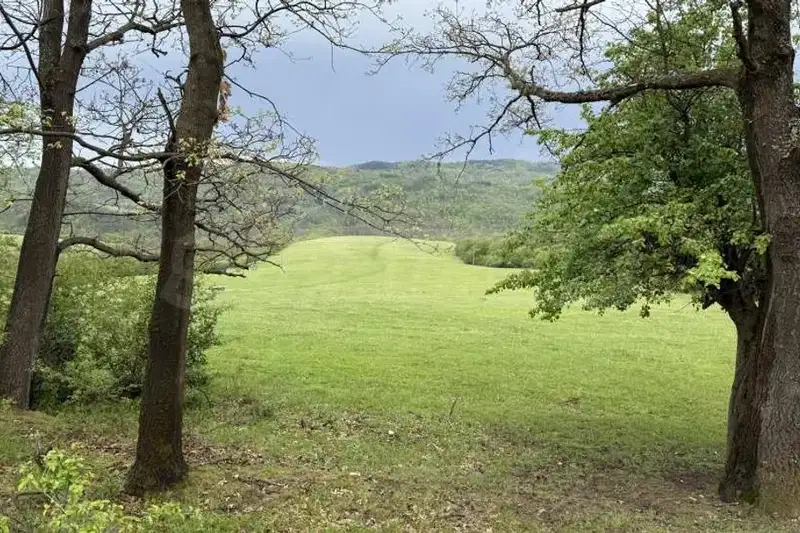 Plot in Oblast Gabrovo, Tryavna