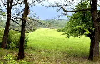 Парцел в Габрово, Трявна