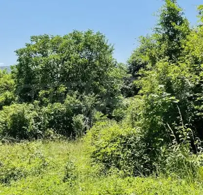 Photo 5 — Plot in Oblast Gabrovo, Kozi Rog
