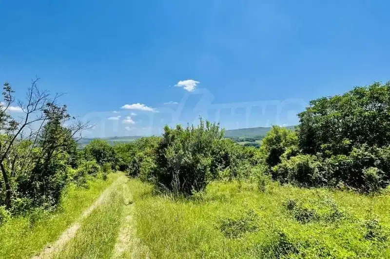 Plot in Oblast Gabrovo, Kozi Rog