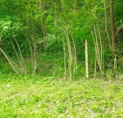 Снимка 4 — Парцел в Габрово, с. Враниловци
