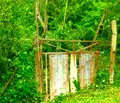 Снимка 5 — Парцел в Габрово, с. Враниловци