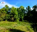 Снимка 3 — Парцел в Кюстендил, с. Дяково