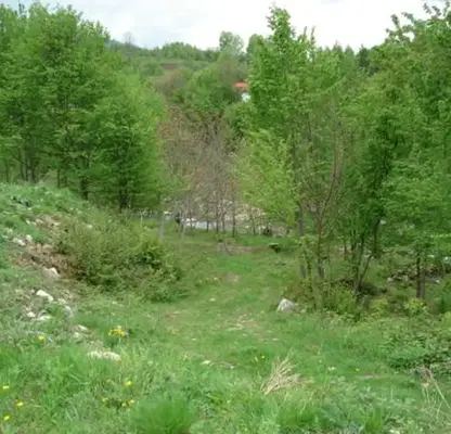 Photo 2 — Plot in Oblast Lovech, Chiflik