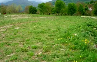 Парцел в Ловеч, с. Чифлик