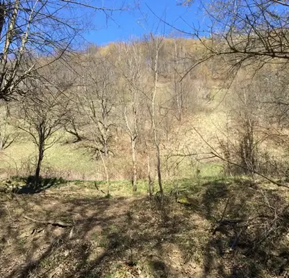 Photo 3 — Plot in Oblast Lovech, Ribarica