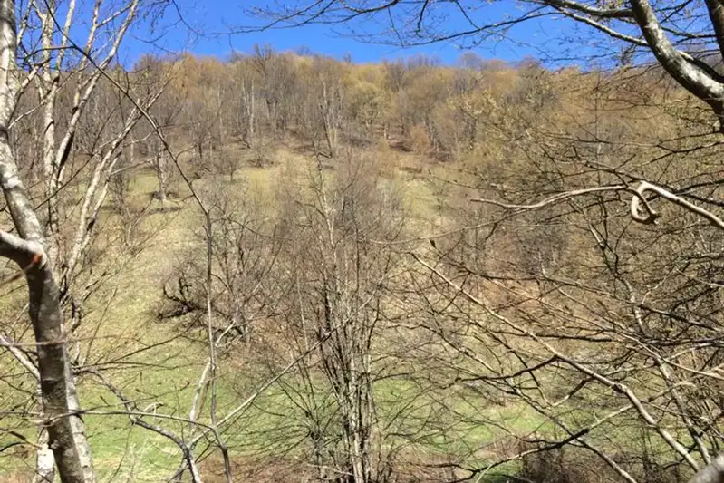 Plot in Oblast Lovech, Ribarica
