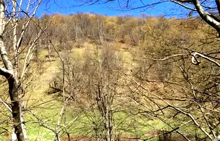 Парцел в Ловеч, с. Рибарица