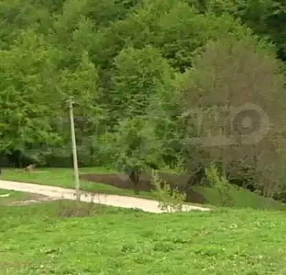 Photo 2 — Plot in Oblast Lovech, Ribarica