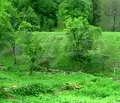 Снимка 3 — Парцел в Ловеч, с. Рибарица