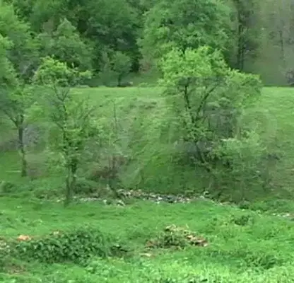 Photo 3 — Plot in Oblast Lovech, Ribarica