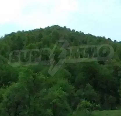 Photo 4 — Plot in Oblast Lovech, Ribarica