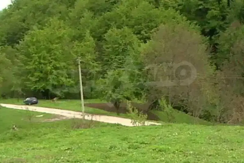 Plot in Oblast Lovech, Ribarica